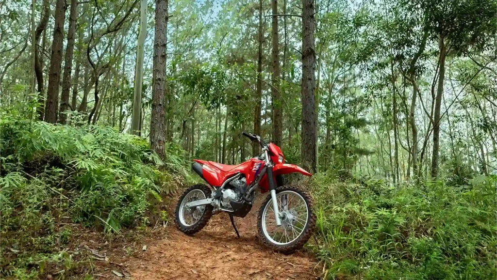 Honda CRF300F, foto 4